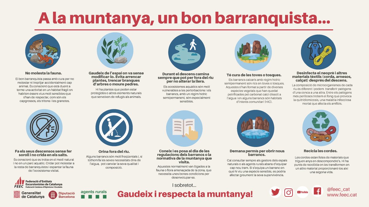 FEEC_cat's tweet photo. Fas descens de barrancs i engorjats? 

➡️ Recorda aquestes bones pràctiques que ajudaran a cuidar l'entorn natural. 

Gaudeix i respecta la muntanya 🤝⛰️

#sentlamuntanya #sommuntanya #somnatura https://t.co/7b4IlopXd5