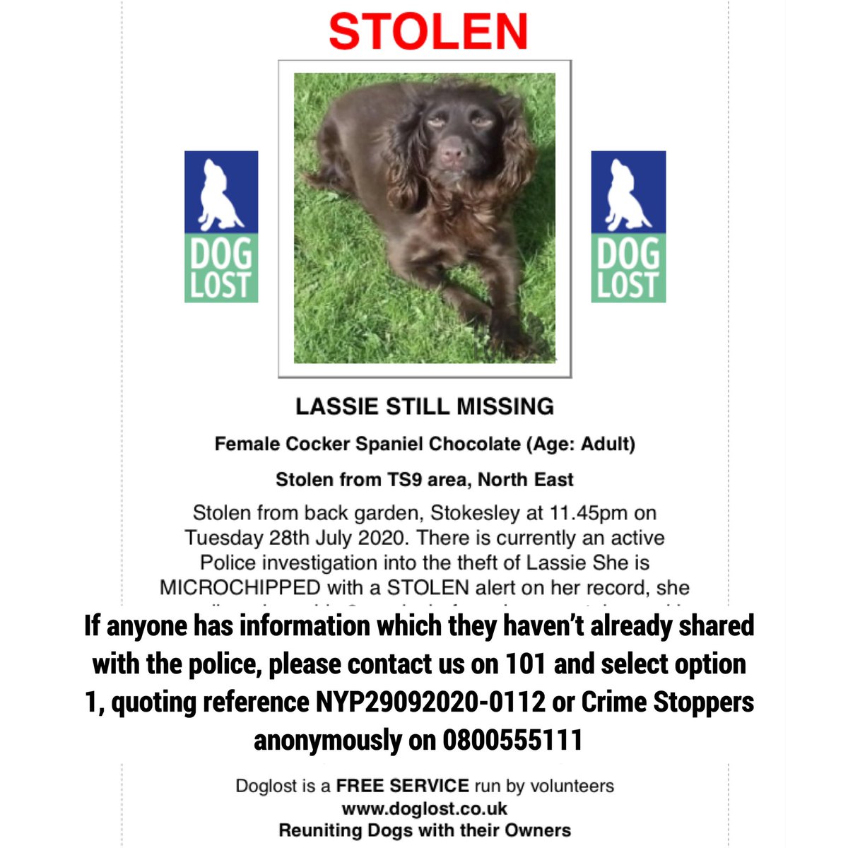 Stolen&Missing Pets tweet media