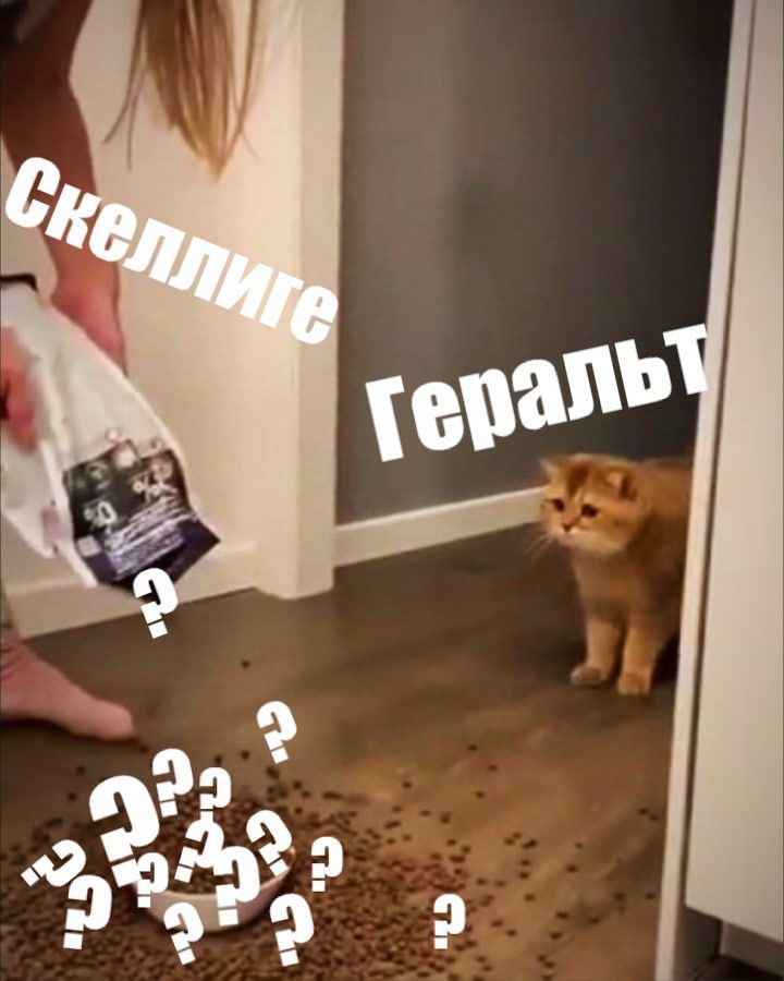 RussianMemesLtd's tweet photo. Skellige

Geralt https://t.co/5ogak63GTC