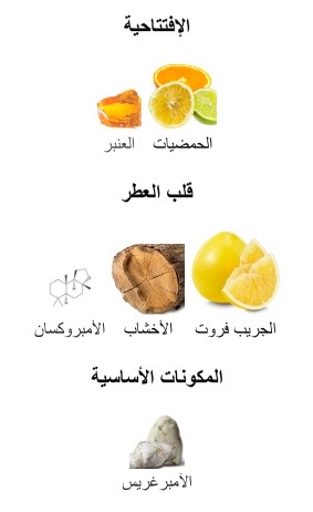 oborystore's tweet photo. #عطر الجمعة

💯💯💯ذا وودز كوليكشن بانوراما💯💯💯

☑️عطر صيفي حمضي عنبري
☑️اداء عالي ثبات وفوحان يجمل
☑️ريحة جدا شبيه لتايغر بولغاري 
☑️وارخص منه بـ1000 ريال تخيل
☑️عطر كل الفصول وفي الصيف ابداع
☑️ترند حول العالم والمؤشر في اتفاع
☑️لازم يكون ضمن مجموعتك👇
https://t.co/mBiAVBVrW2 https://t.co/rmTIxYnQJv