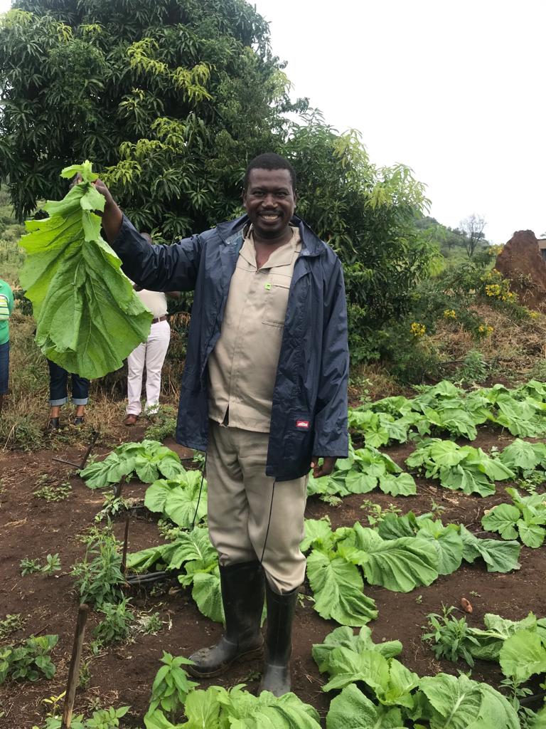 BuhlefarmersA's tweet photo. 🌱🚀 #FlashbackFriday The transformation made possible by working together: 

💪💚 Farmers in Vuwani, Venda, who previously had only backyard food gardens, are now running 12 thriving agribusinesses.

👉Read more on p8 of https://t.co/01dZ1n3DVV 
@Nedbank https://t.co/9e1eHCzayT