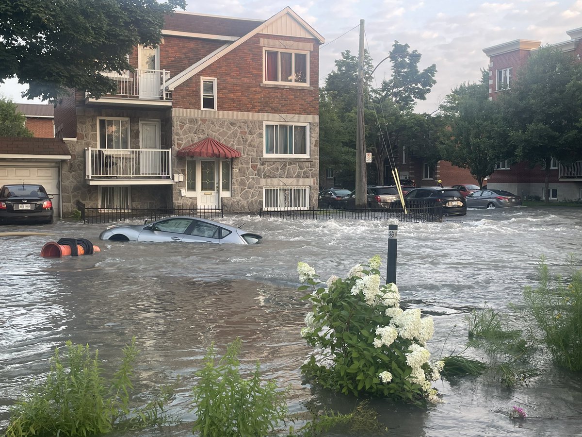 Marie-Lise Mormina tweet media