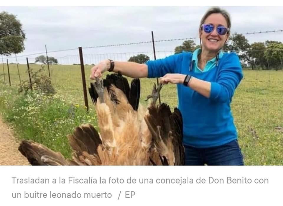 🔴 Trasladan a la Fiscalía la foto de una concejala de Don Benito con un buitre leonado muerto.

La Fundación Franz Weber  ha solicitado ante el ministerio público la apertura de diligencias informativas "para dilucidar si el animal fue cazado ⤵️
