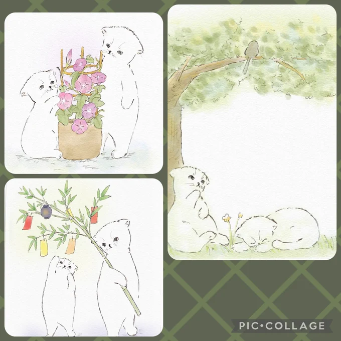 7月もあと少しなので… #今月描いた絵を晒そう 今月もありがとうございました🙇 来月も猫ともども、よろしくお願いします🐱
#猫イラスト #イラスト 