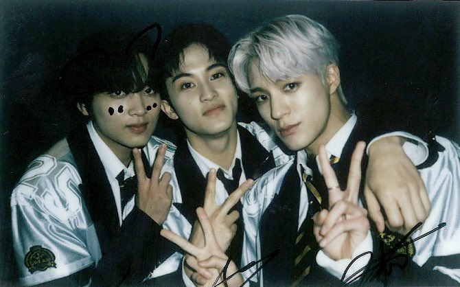 lee line 🐻🐯🐶