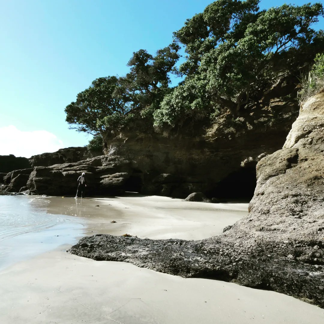 ShashEth's tweet photo. #aucklandbeaches😍 https://t.co/NY7AAR4UxC