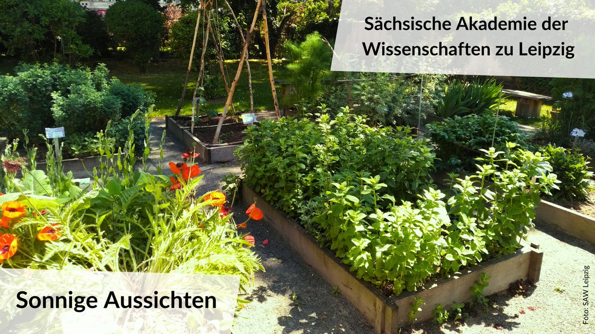 Akademienunion's tweet photo. Jede Woche präsentieren wir #SonnigeAussichten aus unseren Mitgliedsakademien. Heute: Der karolingische Heilkräutergarten Hortulus theodiscus der @saw_leipzig. Welche Rolle das Projekt „Althochdeutsches Wörterbuch“ hier spielt, erfahren Sie im Projektfilm: https://t.co/Z9KyiICTcc https://t.co/4l1yREH0I3