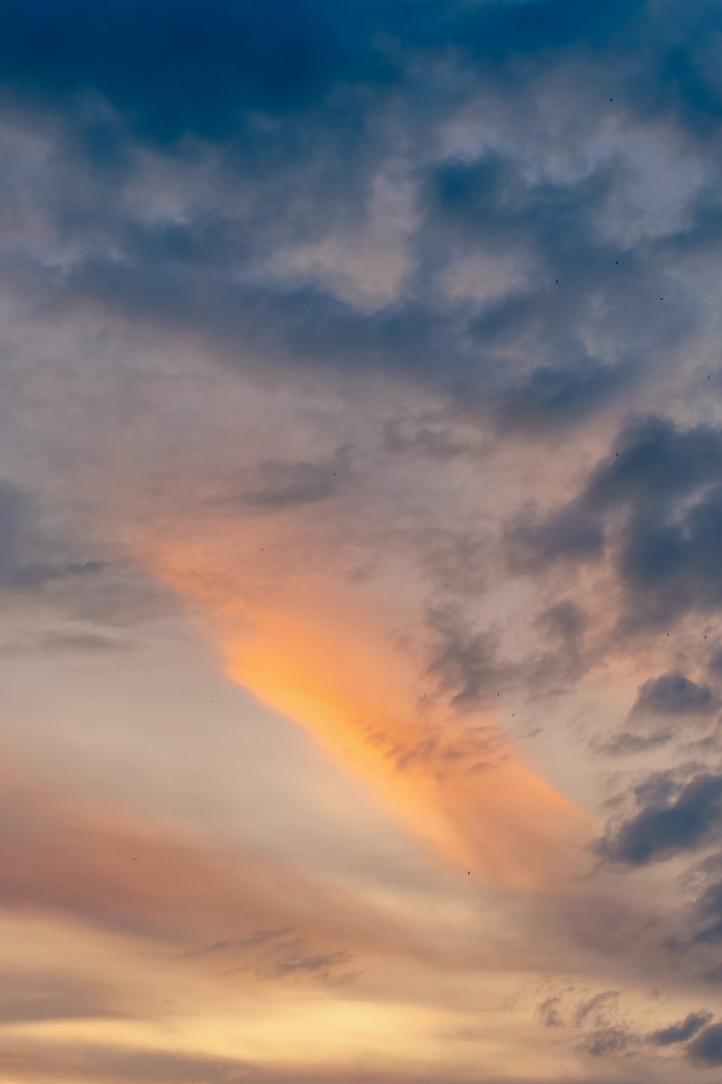 Ekweekly #23: Jeden Freitag Fotos der Woche