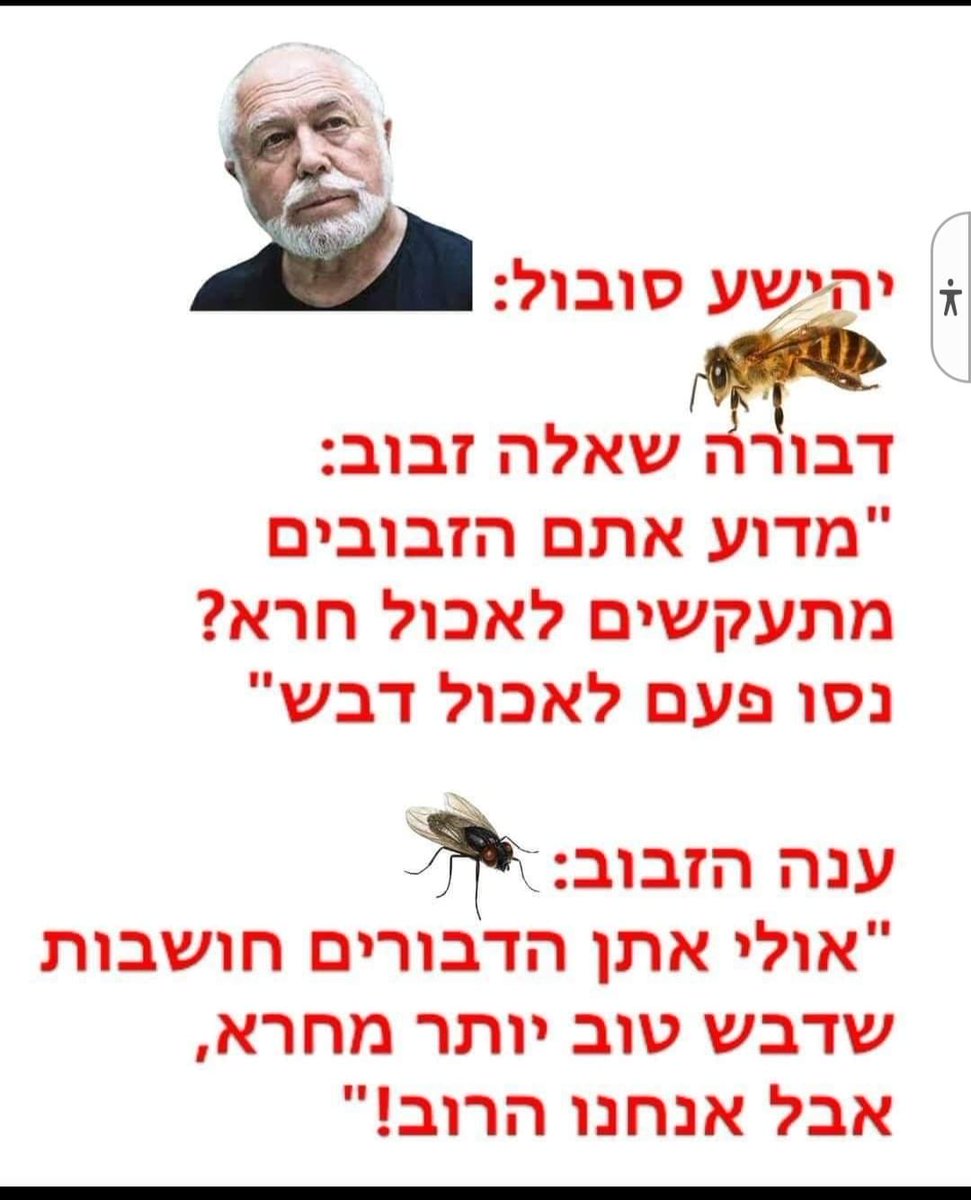 Ronit Nudel (@ronitnudel) on Twitter photo 