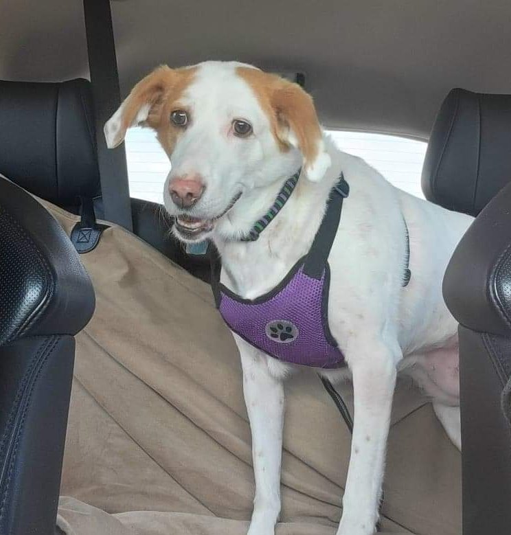 Mom had to leave super early this morning and I wouldn't come down for a photo... she called me three times 🤣🤣

So here are some rare smiley pics to kick off Friday 😃🎉