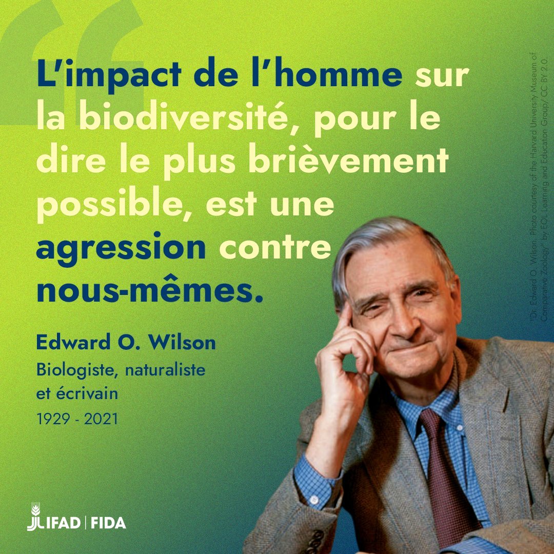 Combien de temps faudra-t-il avant que le monde bouge enfin ?