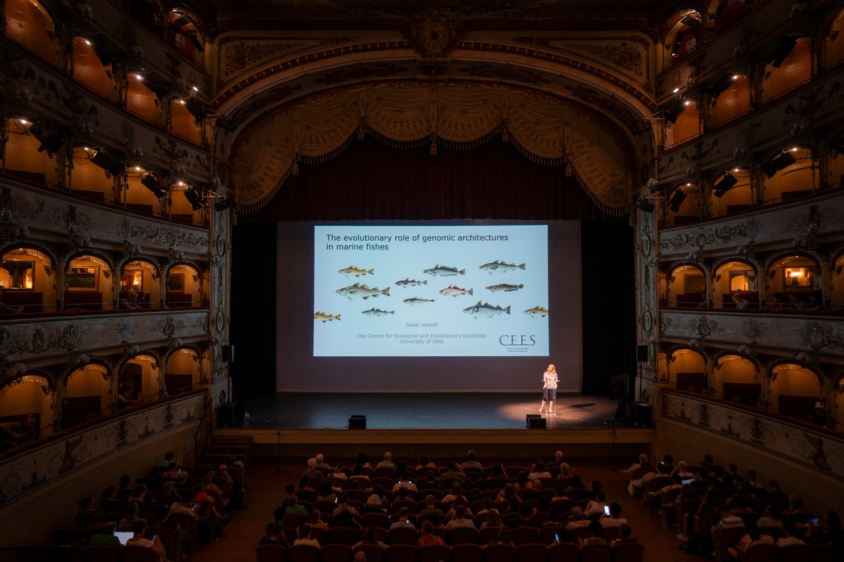 Had an amazing week in Italy at #SMBE2023, so many fantastic and inspiring talks and posters! Thanks to the organizing team for such a great meeting🇮🇹
<a href="/nansenlegacy/">The Nansen Legacy</a> 
<a href="/CEESUiO/">CEES - Univ. of Oslo</a> <a href="/OfficialSMBE/">Society for Molecular Biology and Evolution</a>