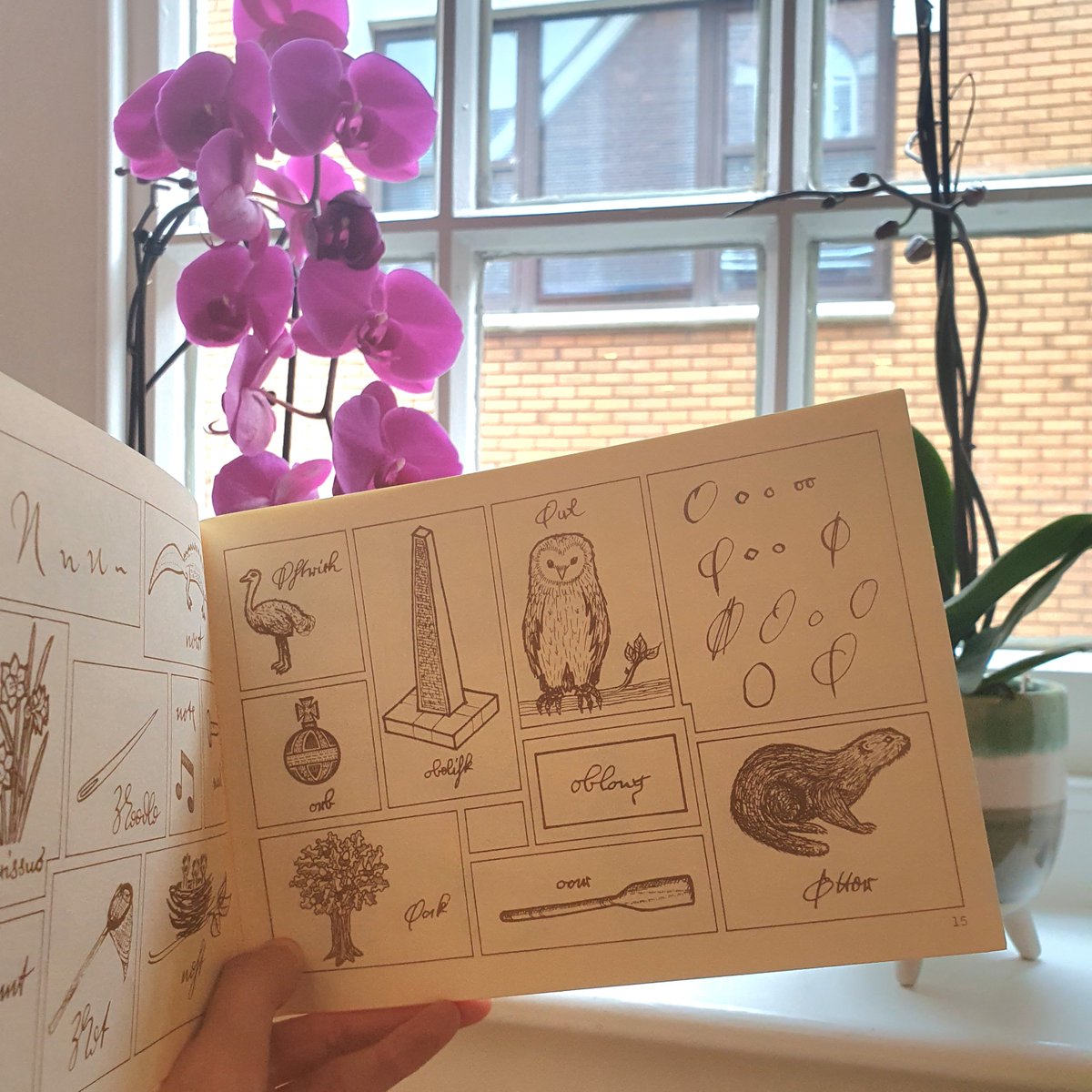 helenaheritage's tweet image. One of my friends reminded me about this picture book today and I *must* give it a shout out!

An absolutely gorgeous guide for learning Secretary Hand with practice transcriptions at the end. Need to start carrying it with me for my library trips 😍