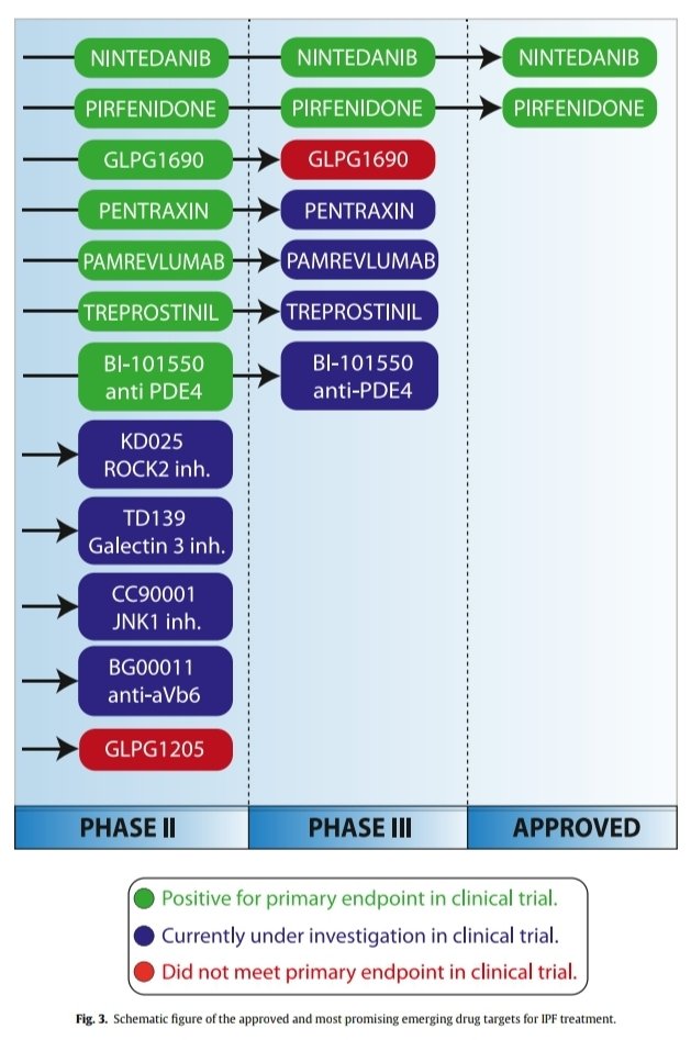 Idiopathic Pulmonary Fibrosis. 
doi.org/10.1016/j.lpm.…
🫁😨😱😤🎞✍️🐍🇳🇱
<a href="/erasmusuni/">Erasmus University</a> <a href="/EuroRespSoc/">ERS</a> <a href="/atscommunity/">American Thoracic Society (ATS)</a> @DGPneumologie <a href="/BTSrespiratory/">British Thoracic Society (BTS)</a> <a href="/SPLF_SocPneumo/">Société de Pneumologie de Langue Française (SPLF)</a> <a href="/pneumosbpt/">Sociedade Brasileira de Pneumologia e Tisiologia</a> <a href="/ALATorax/">ALAT</a> <a href="/NeumoMadrid/">Neumomadrid</a> <a href="/socapnet/">SOCAP 🫁</a> @neumopararesis