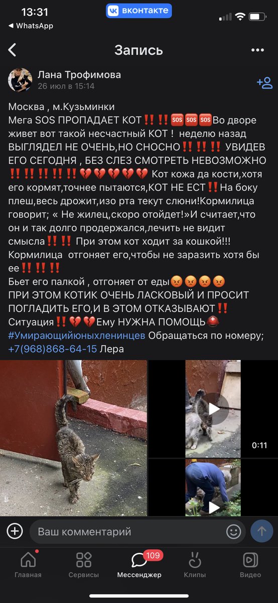 HabondriaA's tweet photo. Срочно🆘🆘🆘 Пойман кот в крайне тяжелом состоянии на у��ице Юных Ленинцев❗️🆘🆘
Сейчас везут в РедВет, куратора знаю лично❗️
Просим помощи собрать на депозит 15 000 рублей🙏🆘
Чат: https://t.co/H2UVjoTW3b
Пост https://t.co/lzJcKOxpbN
Карта куратора: 2202 2009 4717 2621 Светлана Б https://t.co/2occ9Am582