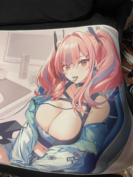 ブレマートンマウスパッドとブランケット届いたけど、マウスパッドの概念がわからなくなるでっかさかわいいからいいや() 