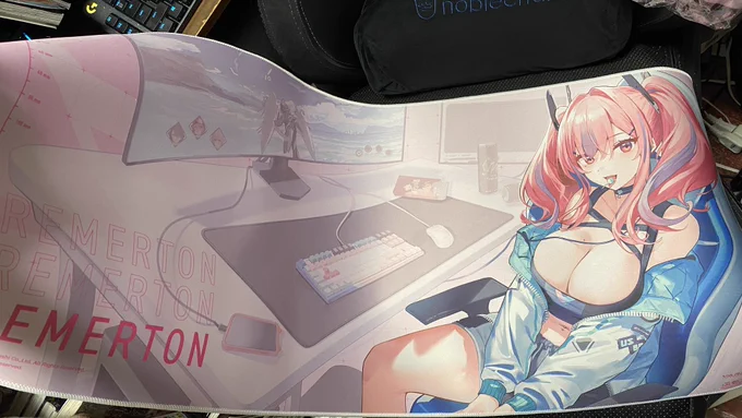 ブレマートンマウスパッドとブランケット届いたけど、マウスパッドの概念がわからなくなるでっかさかわいいからいいや() 