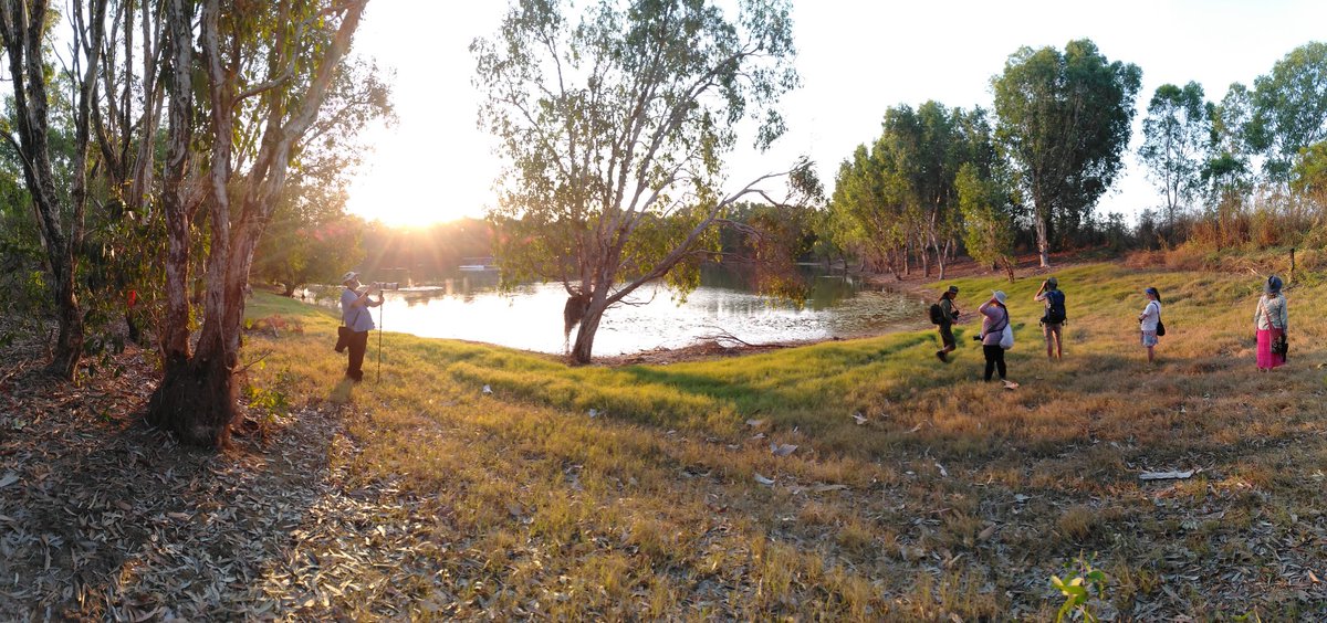 Mroseup (@mroseup1) on Twitter photo A lovely evening on the <a href="/BirdLifeTopEnd/">BirdLife Top End</a> bird walk around Lee Point. We saw 35 different species! Including a lifer for me, the Australian Owlet-nightjar. Birds are so much better than bulldozers. #saveleepoint <a href="/tanya_plibersek/">Tanya Plibersek</a> A lovely evening on the <a href="/BirdLifeTopEnd/">BirdLife Top End</a> bird walk around Lee Point. We saw 35 different species! Including a lifer for me, the Australian Owlet-nightjar. Birds are so much better than bulldozers. #saveleepoint <a href="/tanya_plibersek/">Tanya Plibersek</a>