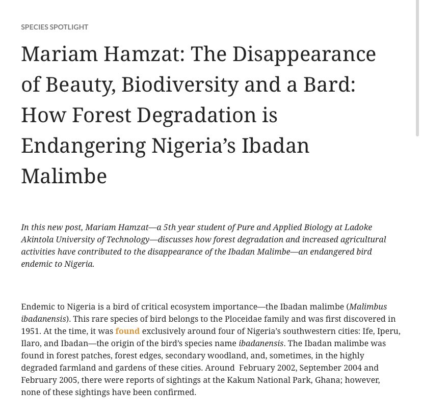 mariamhamzat__'s tweet photo. Hey, It’s #WorldNatureConservationDay!

Have you read my piece where I discussed how forest degradation and increased agricultural activities have contributed to the disappearance of the Ibadan Malimbe—an endangered bird endemic to Nigeria? https://t.co/6FksYzAvZb