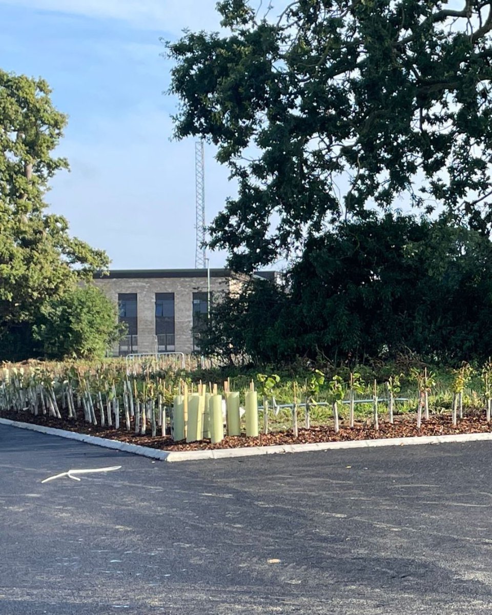 J Paxman Landscapes Ltd tweet media