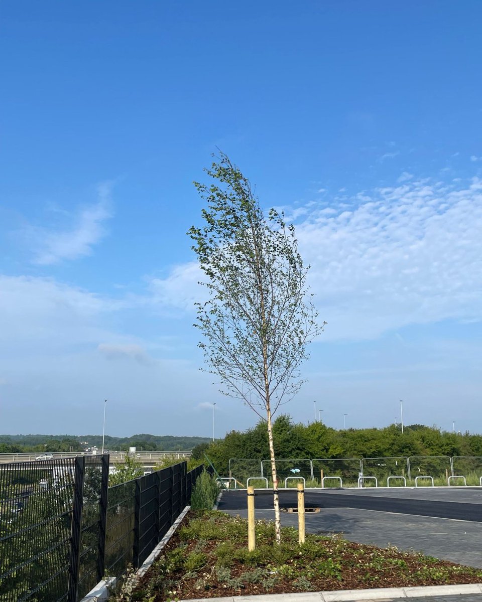 J Paxman Landscapes Ltd tweet media