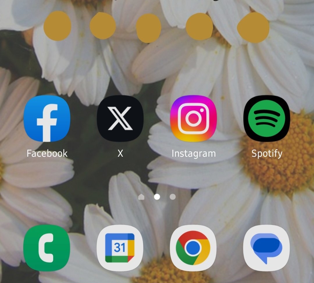 academicchola's tweet photo. And what is this....🙄 I woke up this morning to notice what looks like an app to a Vegas nightclub, a failed project by Kanye West, or an adult website on my homescreen. Boy, bye! #TwitterX https://t.co/x7z3zAPUjh