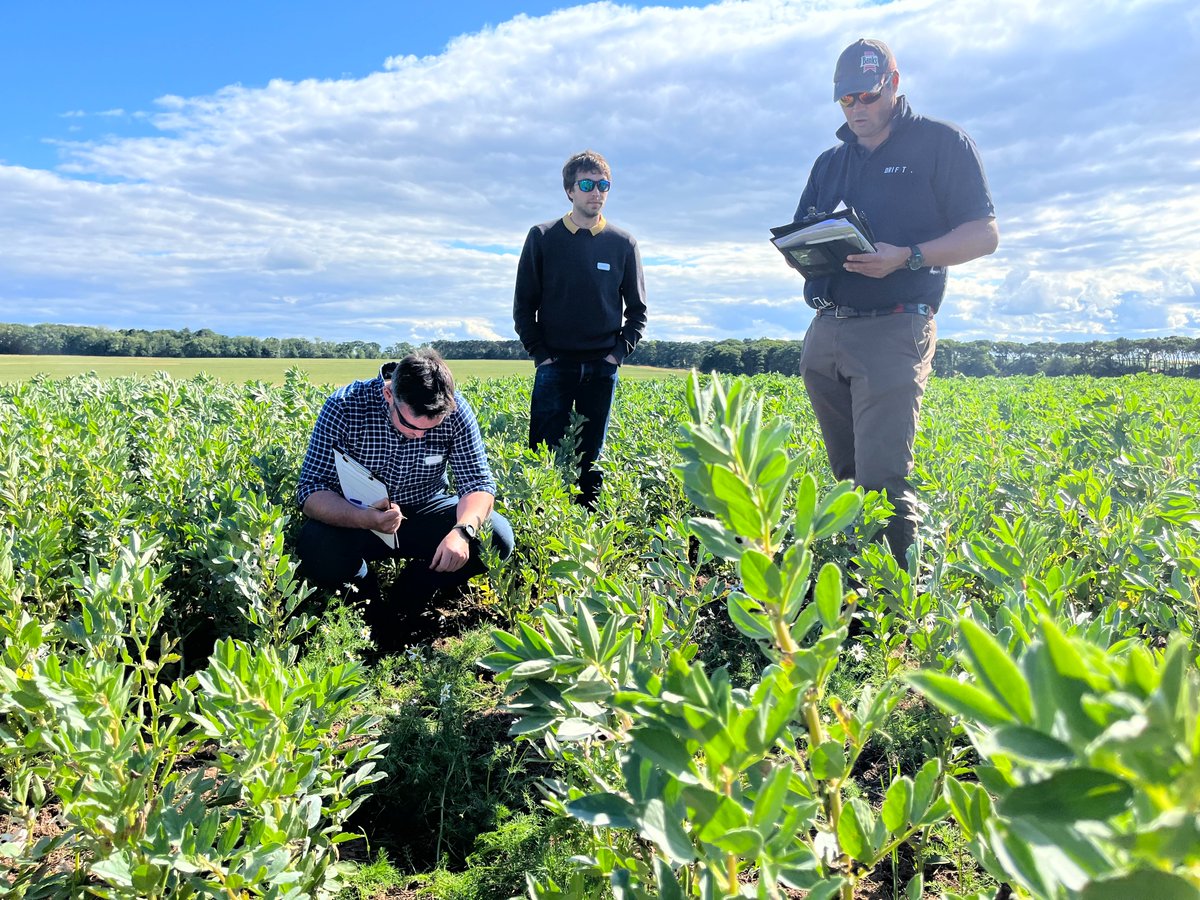 monitorfarms's tweet image. Sunshine all round for the summer meeting at Castleton in July! 🌱

Chat about this years crops with @DavidAglen and Stuart McNicol, funding opportunities with @AlexClarkPirie and a demo from @dronesforag 

Finished off with sausage rolls and good chat at DRIFT.