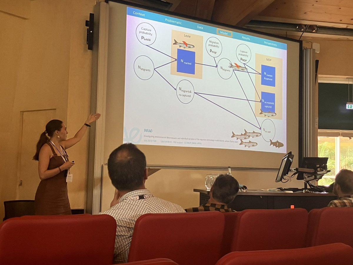fishbouchard's tweet photo. Truely interesting presentation of @Edel_Lheureux on how to model the #phenology of the downstream #migration of Atlantic #salmon smolts with State-Space model ! Part of her PhD supervised by @matbuoro &amp; https://t.co/CEtcuvcl35évost #Bayesian @inrae_ecobiop @TheFSBI #FSBI2023 https://t.co/f7Zc0ZFaN5