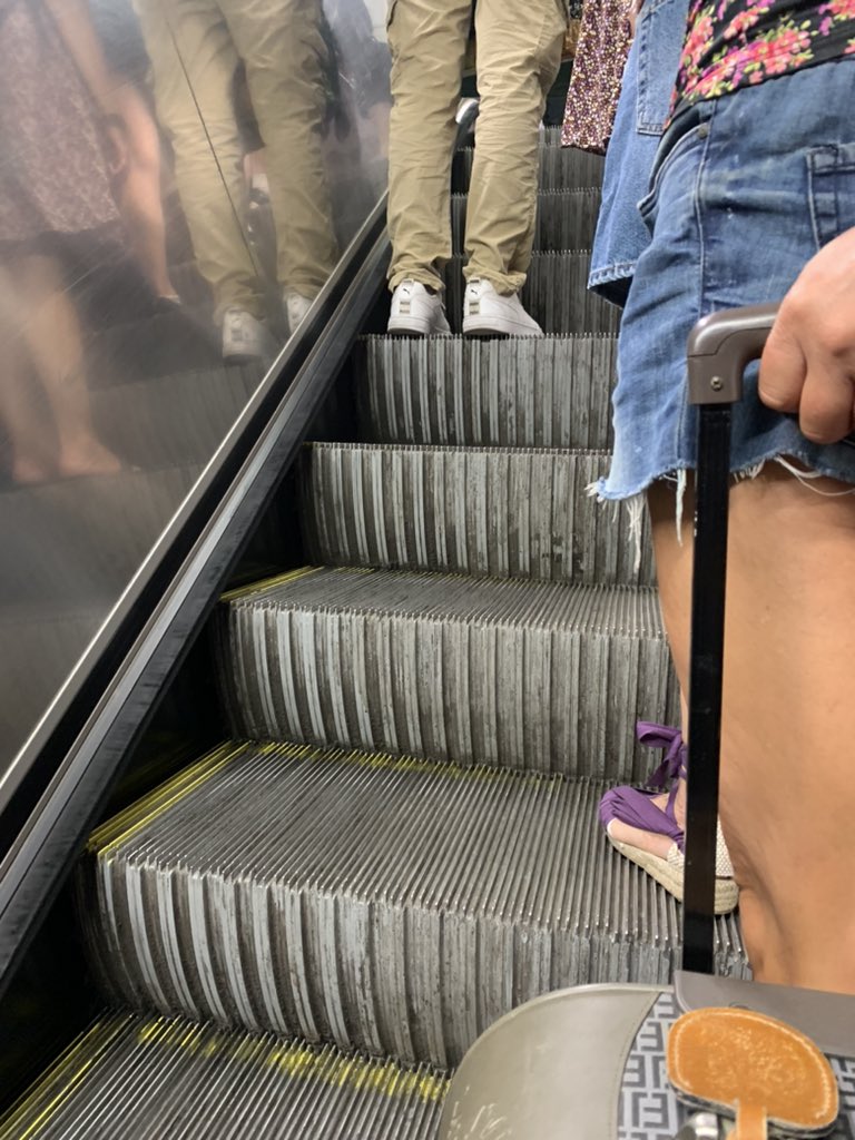 Gerardguimera's tweet photo. Quan agafes el metro hi ha dos tipus de persones, les que baixen les escales corrents des de dalt encara que vegin gent pujar en sentit contrari, i les que es mouen qual tortuga caribenya encara que tinguin la porta a davant fent el pipipipipipipi. Perdó, de fet en son tres, les https://t.co/5hkeWaOSdk