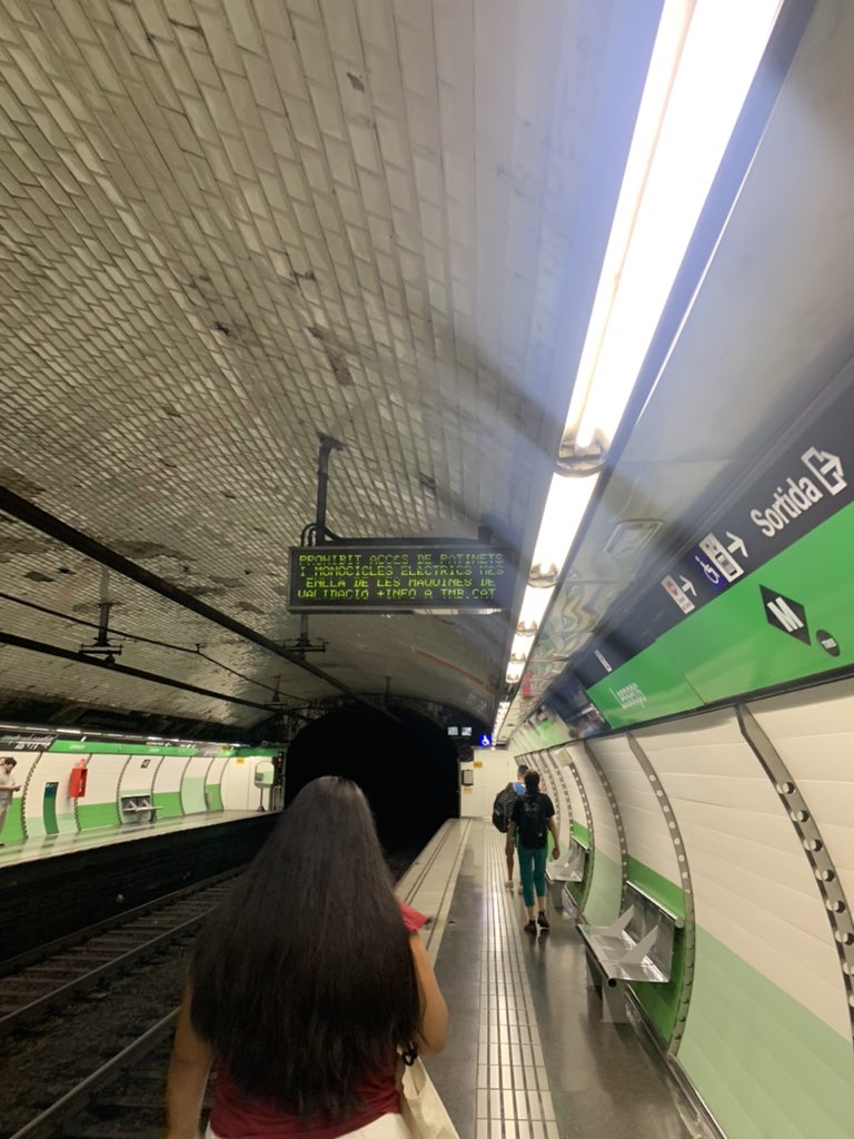 Gerardguimera's tweet photo. Quan agafes el metro hi ha dos tipus de persones, les que baixen les escales corrents des de dalt encara que vegin gent pujar en sentit contrari, i les que es mouen qual tortuga caribenya encara que tinguin la porta a davant fent el pipipipipipipi. Perdó, de fet en son tres, les https://t.co/5hkeWaOSdk