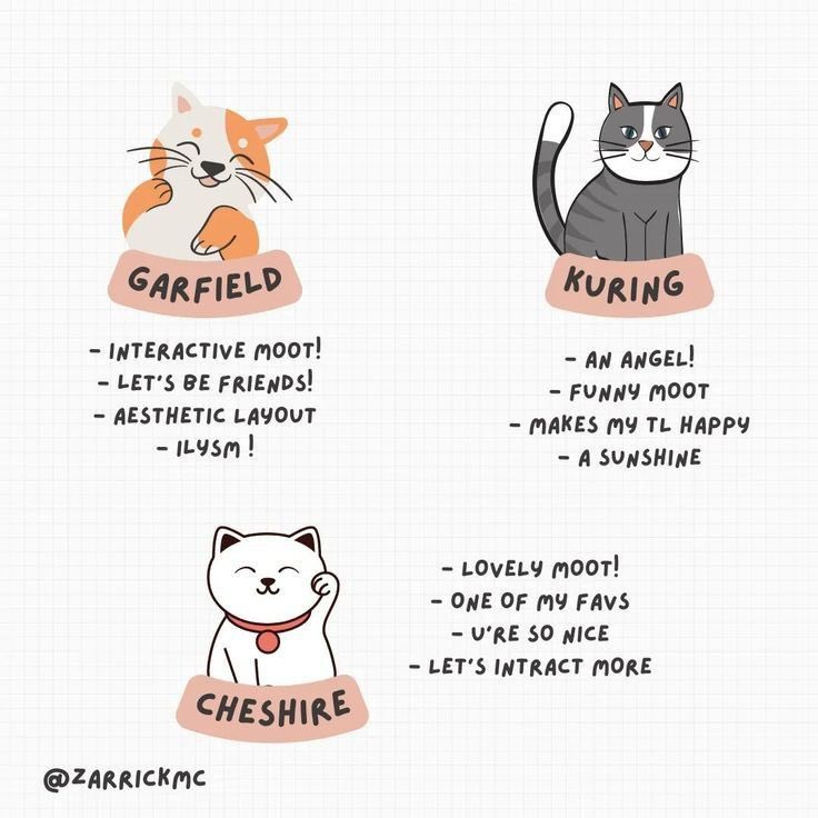 woncfa's tweet image. stolen, let’s interact !! drop un