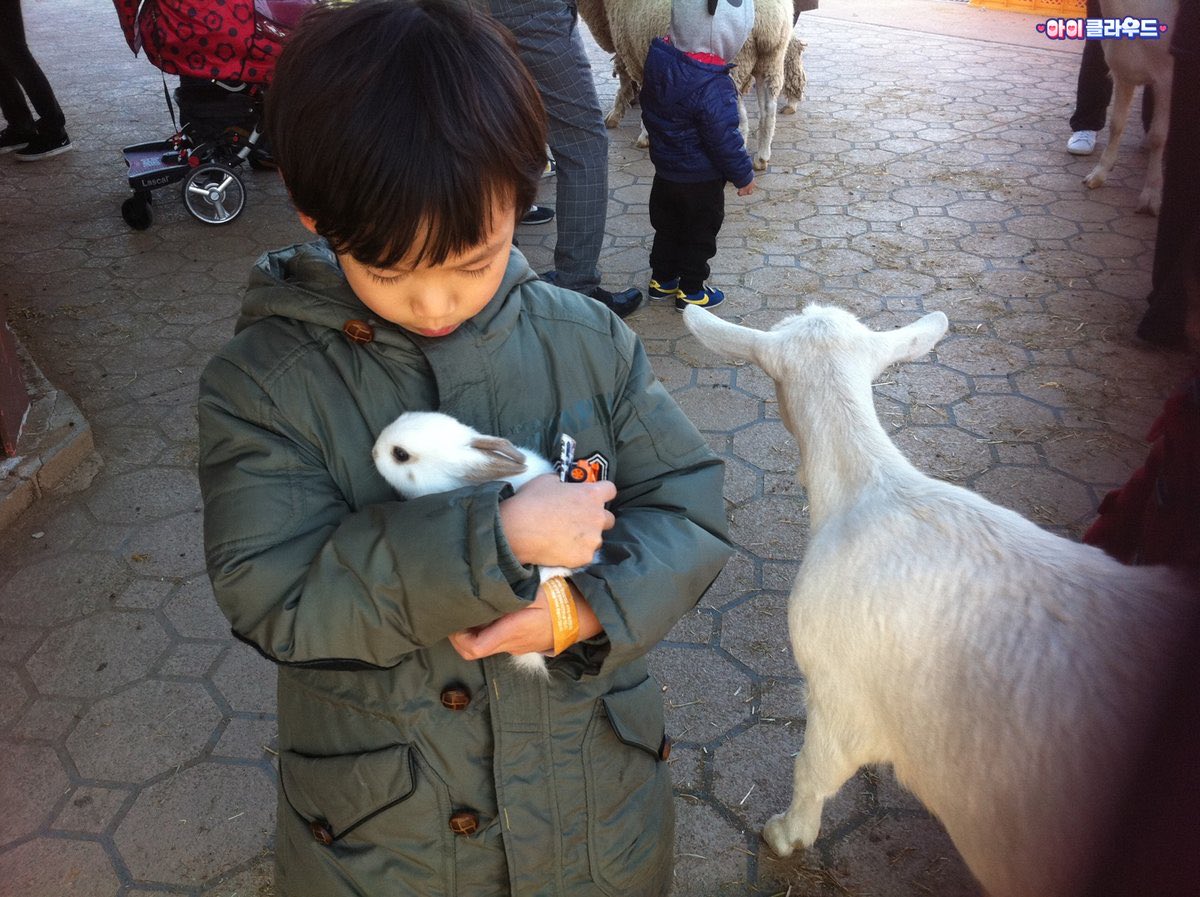jeansyujin's tweet photo. 악 토끼한유진 고화질이다 ㅁㅊ https://t.co/POl07WXn1L