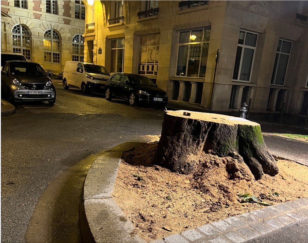 Now the iconic Place de Furstenberg. Can someone who lives nearby please go and check to see what has been done?