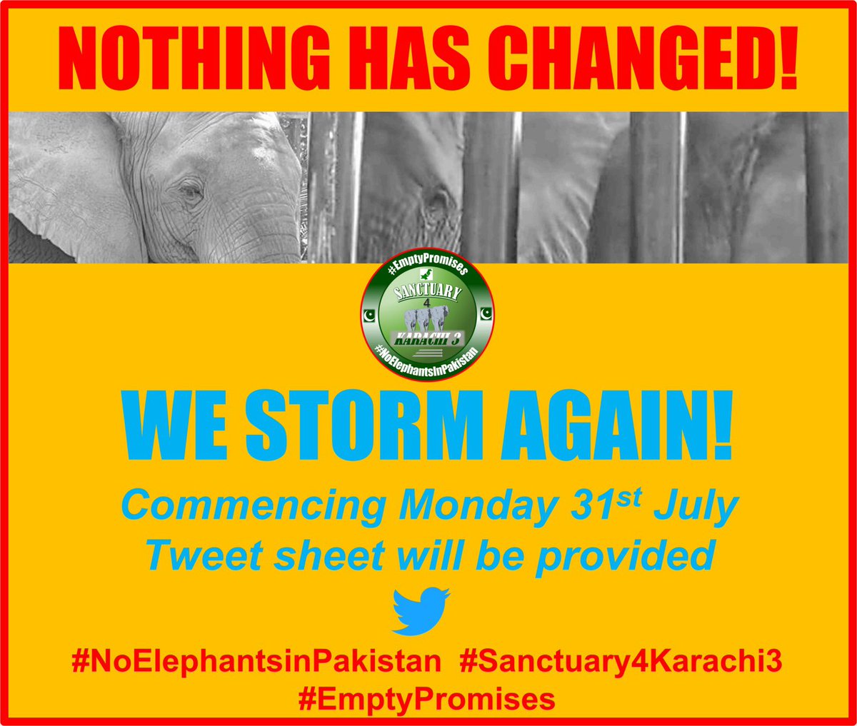 Ripped from their mothers & herd in the wilds of Africa. 
Now in 2023 only 3 remain🔒in Karachi zoo & Karachi Safari park both places are hell in earth for 🐘
No MOU has been sent to the new Mayor #NothingHasChanged 
Monday 31st 2023 please STORM AGAIN. 
#NoElephantsInPakistan 🇵🇰