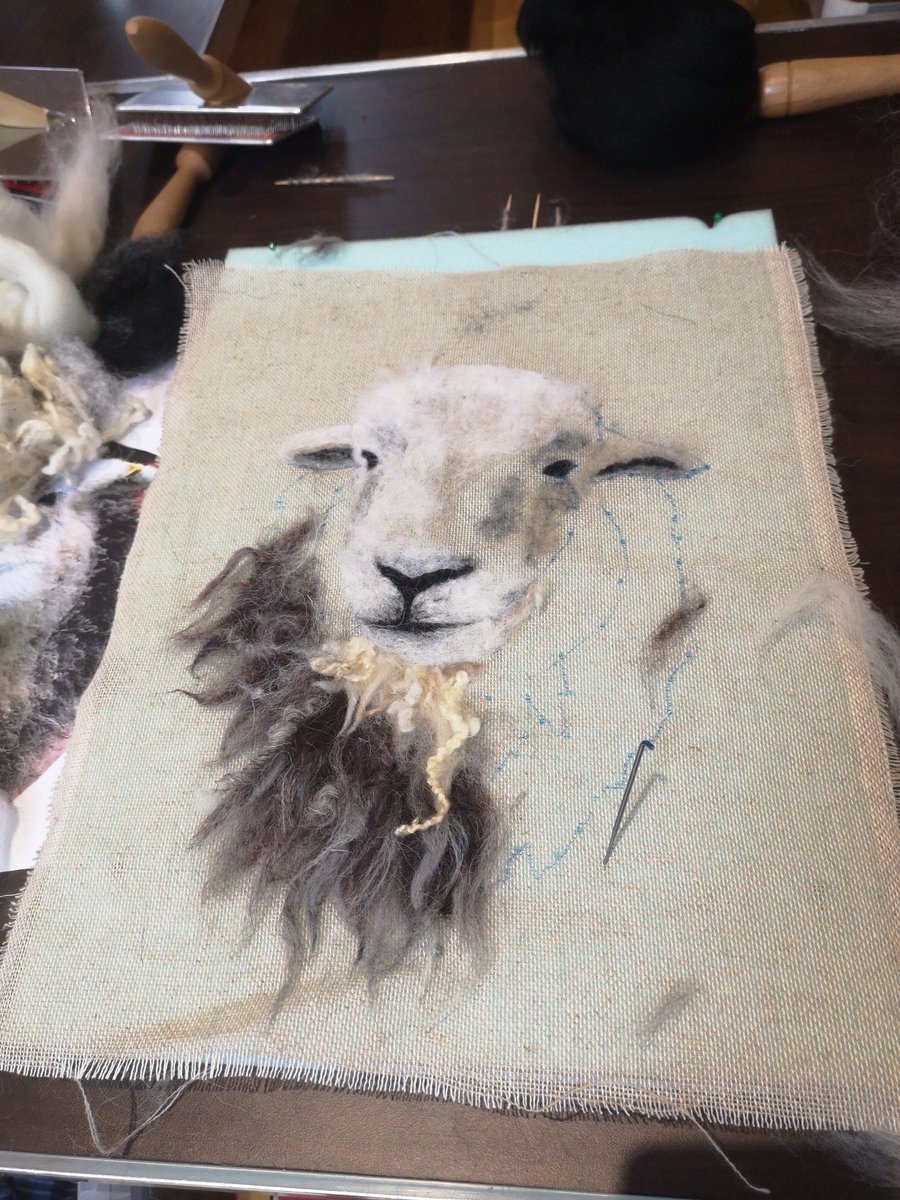 The Wool Clip tweet media