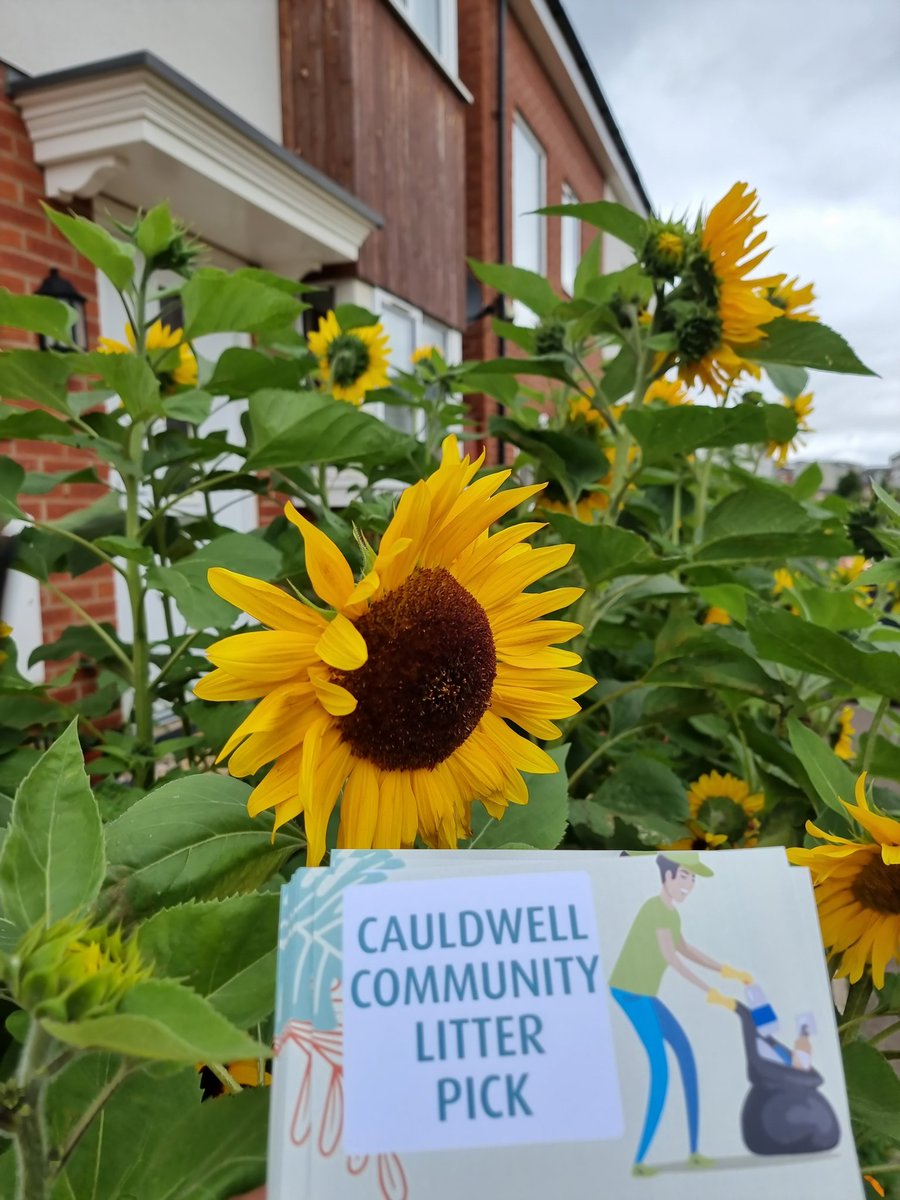 LabourCW's tweet photo. Reminder:

Cauldwell Community Litter Pick is tomorrow [Saturday 29th July] at 10:00am. The meeting point is near the children's play area on Champions Way. https://t.co/e8gstUhAsc
