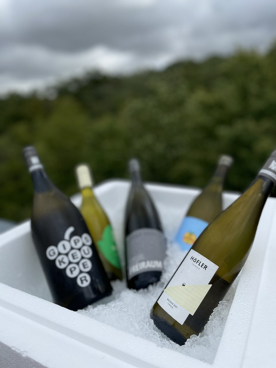 Lab-Trip 🥾
Hiking in Randersacker :-)