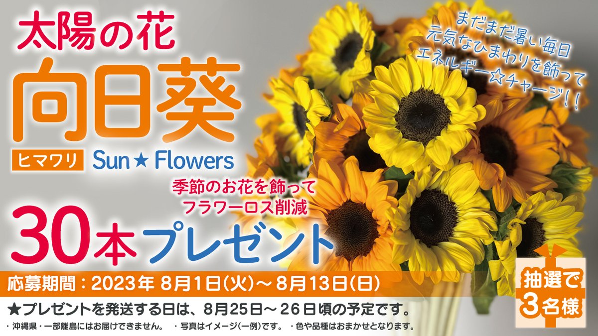 jfc1187's tweet photo. ／
8月は #ヒマワリ を飾って元気チャージ😆✨
プレゼント #キャンペーン🎁
＼

太陽の花「ヒマワリ 30本🌻」

応募方法🌞
①@jfc1187をフォロー
➁この投稿をいいね＆RT

応募条件🌞
お届けしたヒマワリが飾られている様子を
ご投稿してくださる方☺️

当選者🎯の方にはDMにてご連絡✉️🙋 https://t.co/nXowMxdyzH