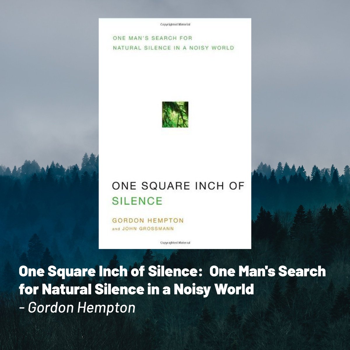 vadisound's tweet photo. What should I read next to elevate my soundscapes and field recording? 

Here are 6 recommended books from the renowned experts.

#soundscape #fieldrecording #soundeffects #jaredblake #paulvirostek #berniekrause #rmurrayschafer #gordonhempton #cathylane #anguscarlyle https://t.co/AXqYlxeC4M