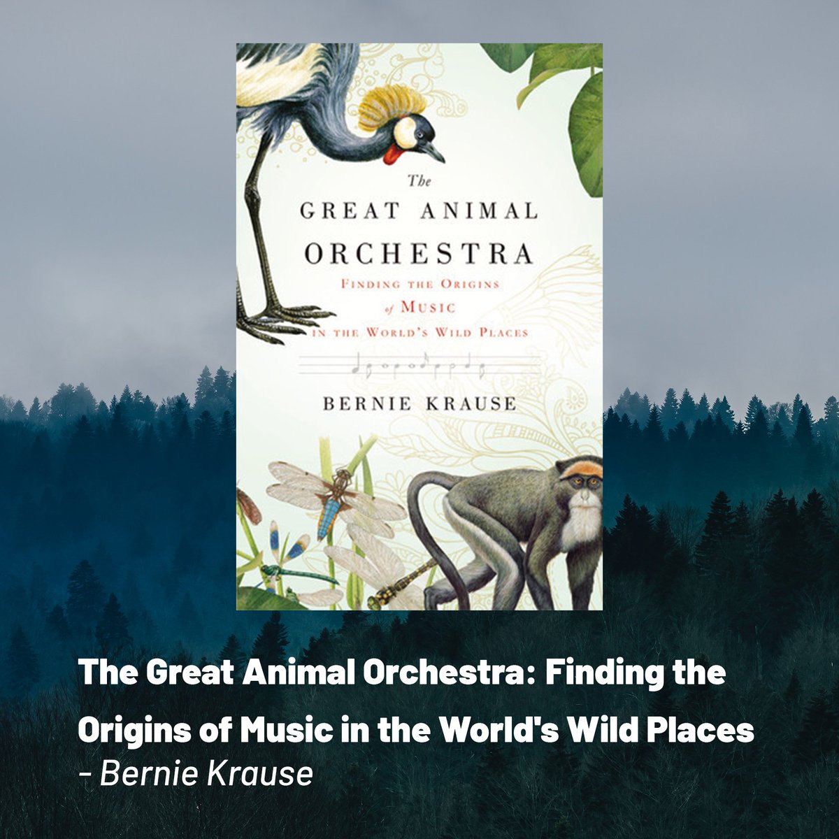 vadisound's tweet photo. What should I read next to elevate my soundscapes and field recording? 

Here are 6 recommended books from the renowned experts.

#soundscape #fieldrecording #soundeffects #jaredblake #paulvirostek #berniekrause #rmurrayschafer #gordonhempton #cathylane #anguscarlyle https://t.co/AXqYlxeC4M