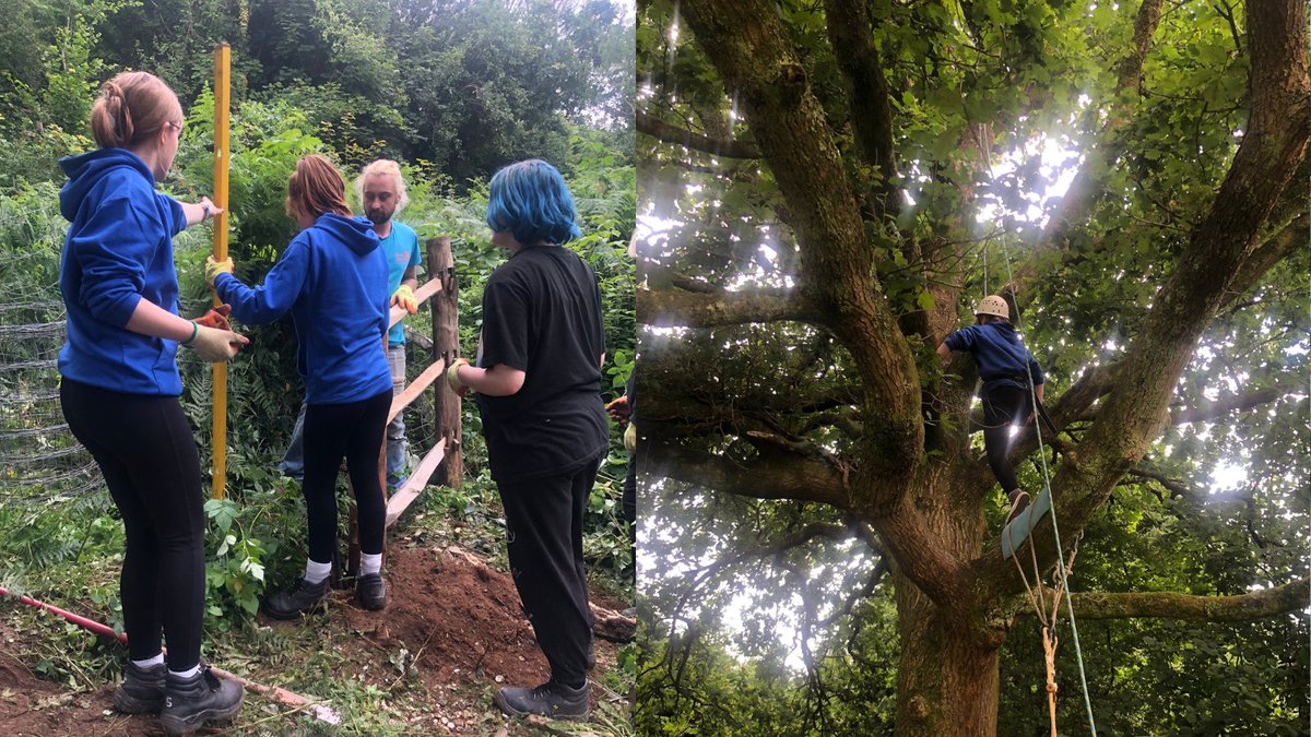 Mae ein myfyrwyr Rhaglen yr Haf yn cael diwrnod llawn hwyl yn Down to Earth (@DTEProject)! 🖐🌳️ Maen nhw wedi bod yn cysylltu â natur a dysgu am gynaliadwyedd. #Abertawe #Cynaliadwyedd