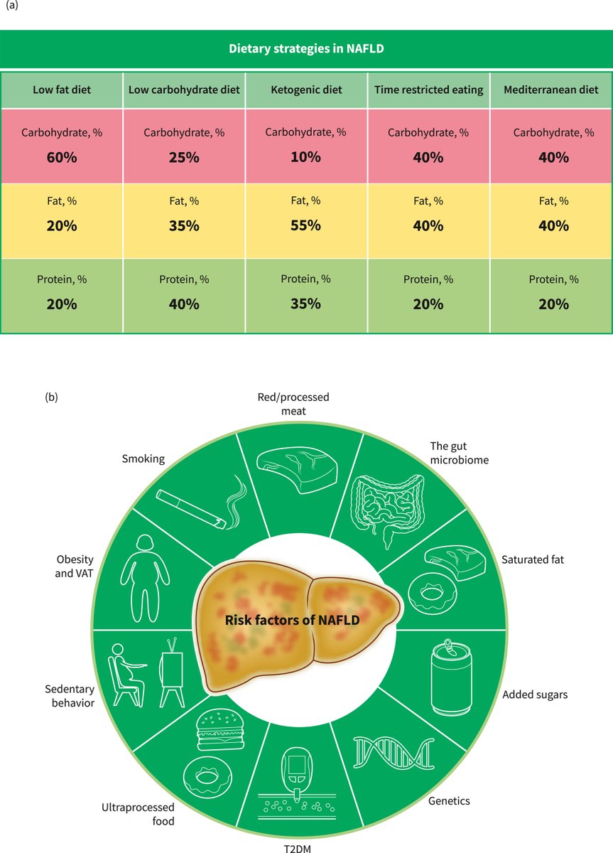 rabataller's tweet photo. What is the BEST DIET for patients with fatty liver ? What is the scientific evidence supporting their health benefits ?

This critical and didactic review explains it all.

#livertwitter #MedTwitter @EASLedu https://t.co/wtTvpoIcLD https://t.co/ZlbCkynYsq