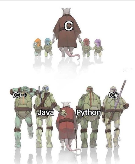 Our C is too old.

#programming #python #coding #programminglife #programmingisfun #programminglanguage  #java #computerscience #ElvishIsTheBoss #javascript #programmer #programmings #iPhone #coder #developer #DataFlair #programmingjokes #programminghumor