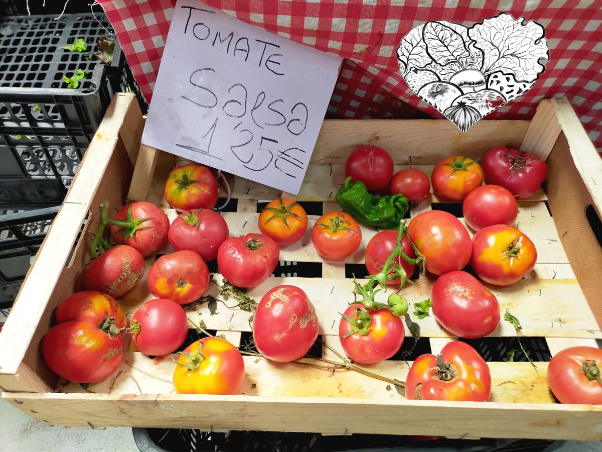 prazaverdura's tweet photo. A maioría das praceiras teñen nos seus postos moitos #tomates de distintos tipos e maduracións, coma esta caixa de tomates #paraSalsa no posto de Edu de #LegumbresNogueira 🍅🍃🍝
Se vas mañán á #Praza atoparás moitas #verduras #hortalizas e #froitas #deVerán 😋🥬🍅🫑🍐🍑Grazas 🌦️ https://t.co/9ynJPQw0D0