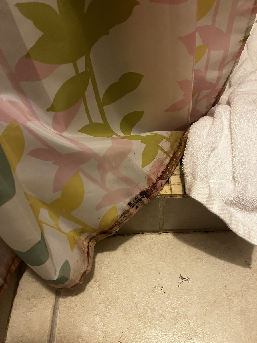 la_t35's tweet photo. Beware and do not trust this listing or @Airbnb. This unit was extremely dirty and infested with roaches. On top of that we alerted @Airbnb that we discovered the host is not who they say they are and they have refused to investigate. @ShieldVoC https://t.co/ySu8d8OFQy