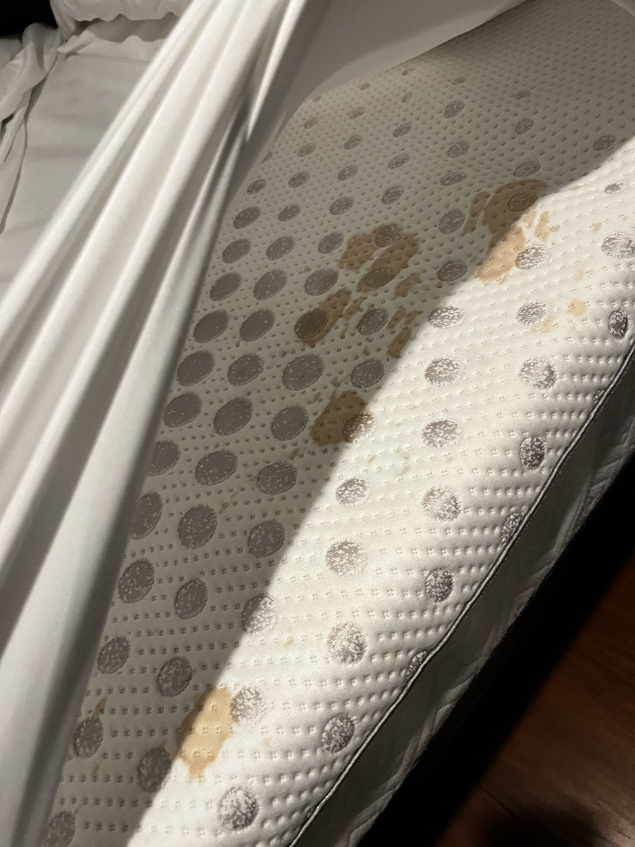 la_t35's tweet photo. Beware and do not trust this listing or @Airbnb. This unit was extremely dirty and infested with roaches. On top of that we alerted @Airbnb that we discovered the host is not who they say they are and they have refused to investigate. @ShieldVoC https://t.co/ySu8d8OFQy