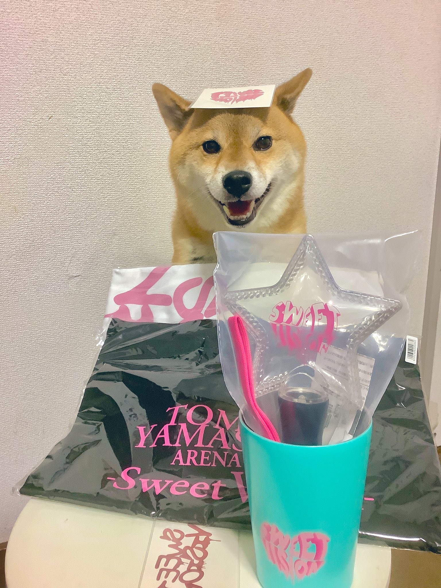 山下智久 山P グッズ他ボリュームパック 山下智久 山P グッズ他ボリュームパック