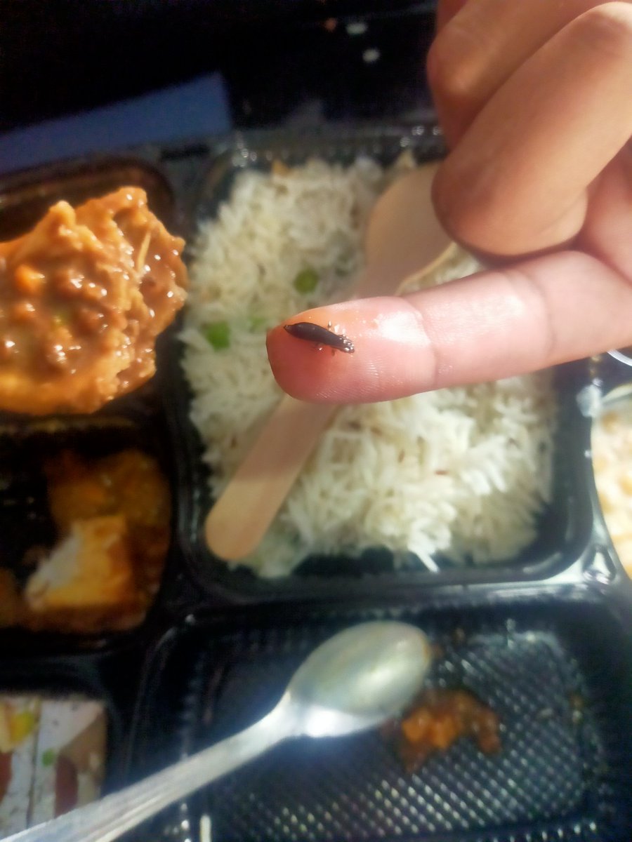 kaurgaming_'s tweet image. I ordered food from railrestro and found cockroach and they are giving 50rs as refund and 5% off gift card
Shame on you
#railrestro #indianrailways @RailwaySeva @IndianRailMedia @Railrestro