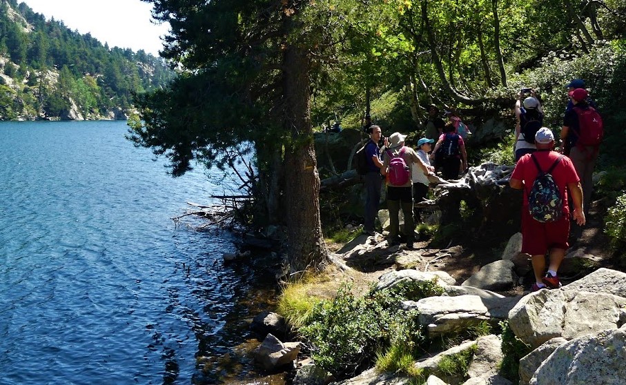 Llívia organitza, un any més, les excursions guiades al Bac de Llívia, a La Bollosa (Les Bulloses). Les sortides es faran els pròxims diumenges, dies 6, 13, 20 i 27 d’agost. #Llívia #Llivia #Llivi #Cerdanya #LaCerdanya #estiu #natura #història #bacdeLlívia #Bollosa #LesBulloses