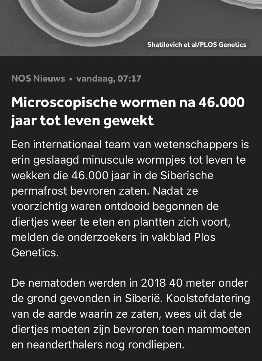 Goede intro van een horror of zombie film: